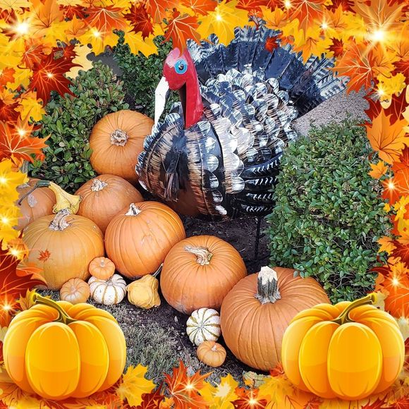 Meet your Posher, Gretchen - Picture 1 of 1